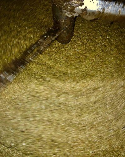 130160209_384678682821291_8498665440397898032_n-1